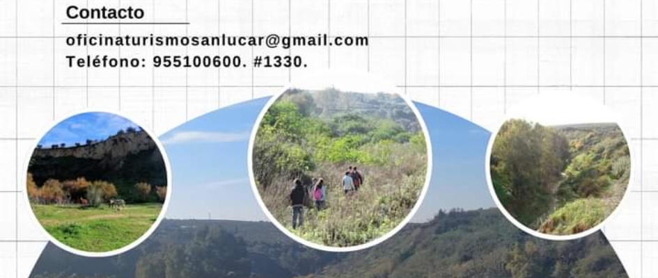 WhatsApp Image 2024-11-13 at 13.52.11