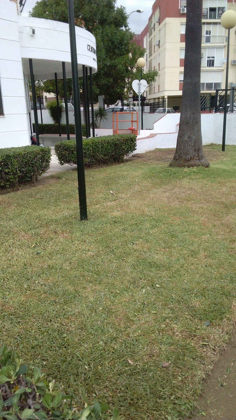 Jardineria Junio 2020 1