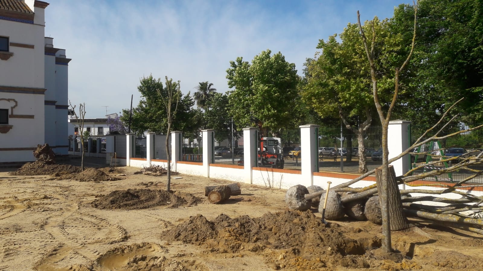 Nuevos árboles colegio San Eustaquio mayo 2020