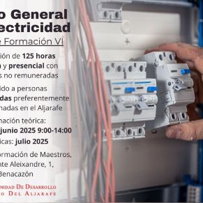 electricista_ig.jpg_1224538548